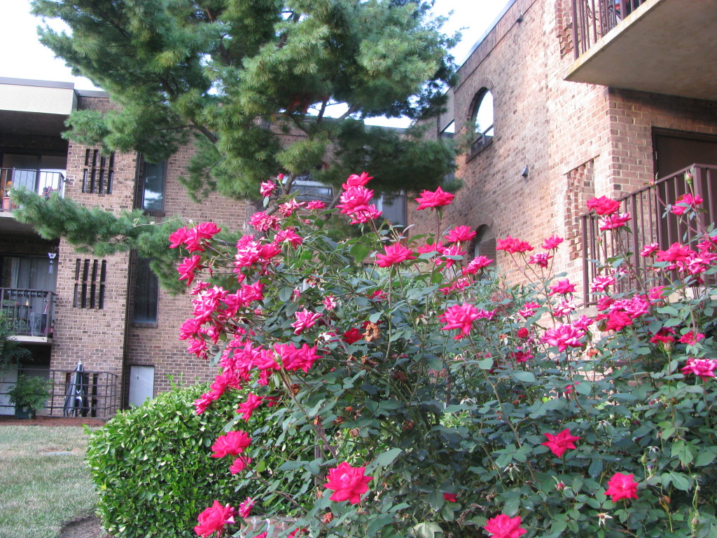 Condo Fees Fairwinds Of Annapolis